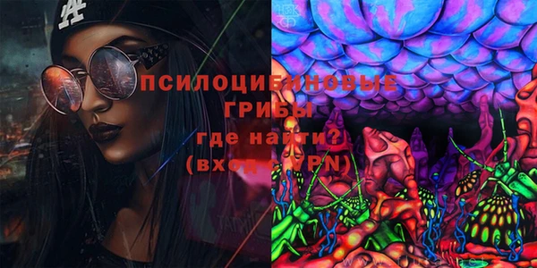 2c-b Алзамай