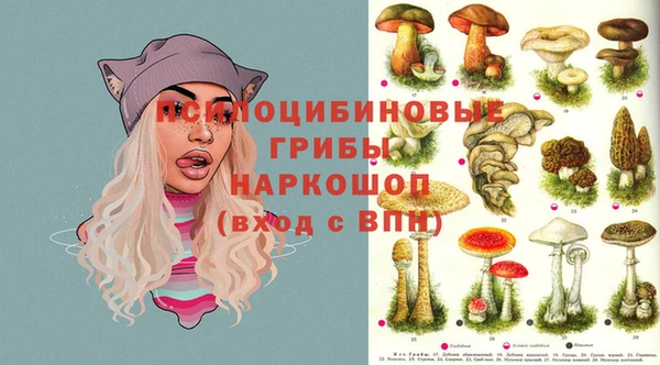2c-b Алзамай