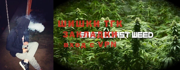2c-b Алзамай