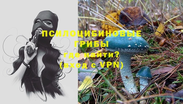 ешки Абдулино